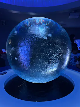 新江ノ島水族館に投稿された画像（2026/7/22）