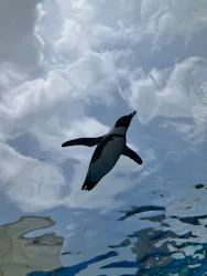 サンシャイン水族館に投稿された画像（2026/7/23）