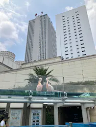 サンシャイン水族館に投稿された画像（2026/7/23）