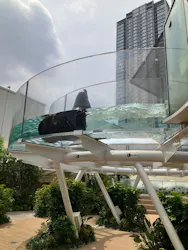 サンシャイン水族館に投稿された画像（2026/7/23）