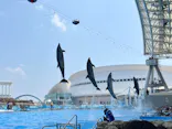 名古屋港水族館に投稿された画像（2026/7/23）