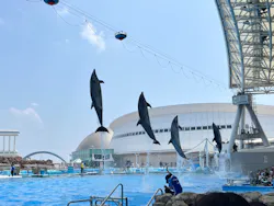 名古屋港水族館に投稿された画像（2026/7/23）