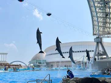 名古屋港水族館に投稿された画像（2026/7/23）