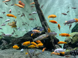 名古屋港水族館に投稿された画像（2026/7/23）