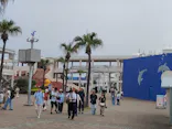 横浜・八景島シーパラダイスに投稿された画像（2026/7/23）