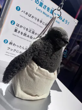 大南極展に投稿された画像（2026/7/23）