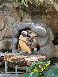 サンシャイン水族館に投稿された画像（2026/7/23）