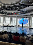 アクアワールド茨城県大洗水族館に投稿された画像（2026/7/23）