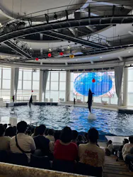 アクアワールド茨城県大洗水族館に投稿された画像（2026/7/23）