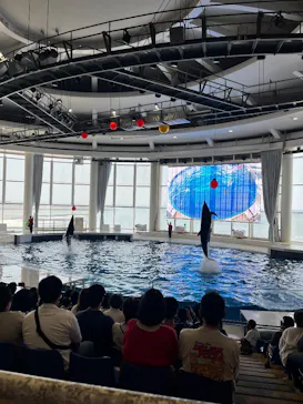 アクアワールド茨城県大洗水族館に投稿された画像（2026/7/23）