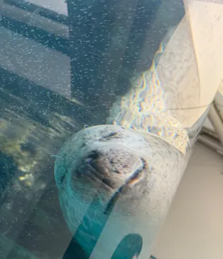 京都水族館に投稿された画像（2026/7/23）