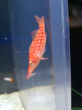 箱根園水族館に投稿された画像（2026/7/23）
