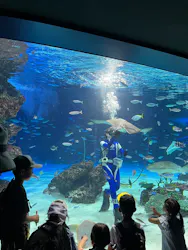 サンシャイン水族館に投稿された画像（2026/7/23）