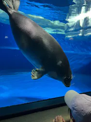 サンシャイン水族館に投稿された画像（2026/7/23）