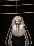 MYSTERY OF TUTANKHAMEN 体感型古代エジプト展に投稿された画像（2026/7/23）