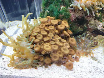 京都水族館に投稿された画像（2026/7/23）