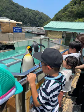 下田海中水族館に投稿された画像（2026/7/23）