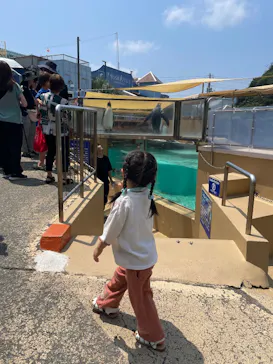 下田海中水族館に投稿された画像（2026/7/23）