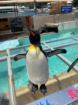 下田海中水族館に投稿された画像（2026/7/23）
