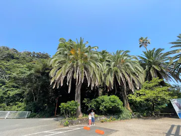 下田海中水族館に投稿された画像（2026/7/23）
