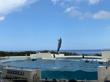 沖縄美ら海水族館に投稿された画像（2026/7/23）