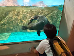 しながわ水族館に投稿された画像（2026/7/23）