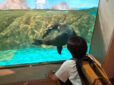 しながわ水族館に投稿された画像（2026/7/23）