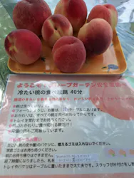グレープガーデン　安全農園に投稿された画像（2026/7/24）
