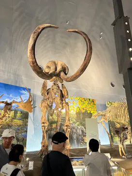 福井県立恐竜博物館に投稿された画像（2026/7/24）