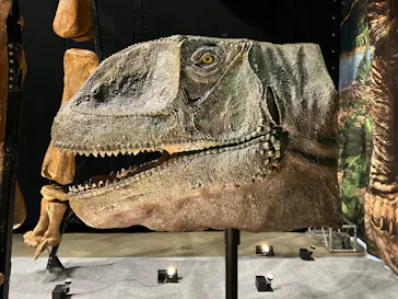 福井県立恐竜博物館に投稿された画像（2026/7/24）