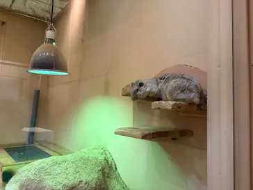 こども動物自然公園（埼玉県公園緑地協会）に投稿された画像（2026/7/24）