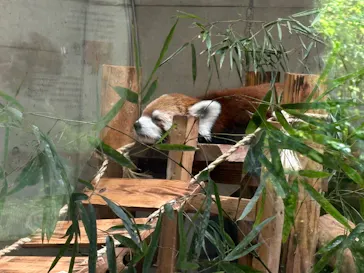 こども動物自然公園（埼玉県公園緑地協会）に投稿された画像（2026/7/24）