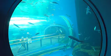 滋賀県立琵琶湖博物館に投稿された画像（2026/7/24）
