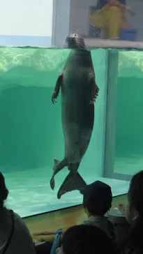 滋賀県立琵琶湖博物館に投稿された画像（2026/7/24）