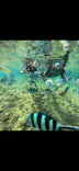 武藤潜水に投稿された画像（2026/7/24）