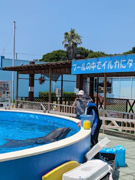 南知多ビーチランド＆南知多おもちゃ王国に投稿された画像（2026/7/24）