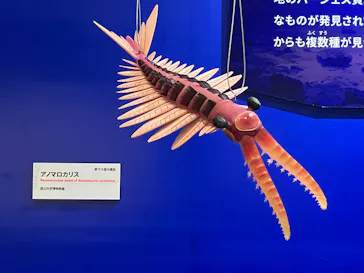 特別展　大絶滅展に投稿された画像（2026/7/24）