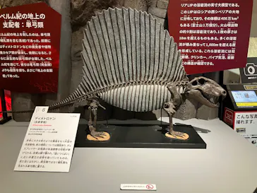 特別展　大絶滅展に投稿された画像（2026/7/24）