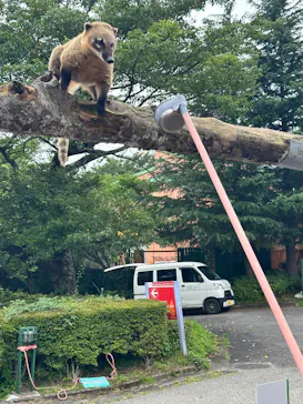 那須ハイランドパークに投稿された画像（2026/7/24）