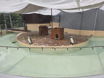 井の頭自然文化園に投稿された画像（2026/7/24）