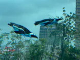 サンシャイン水族館に投稿された画像（2026/7/24）