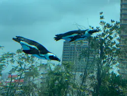サンシャイン水族館に投稿された画像（2026/7/24）