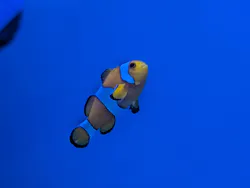 アクアワールド茨城県大洗水族館に投稿された画像（2026/7/24）