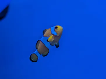 アクアワールド茨城県大洗水族館に投稿された画像（2026/7/24）