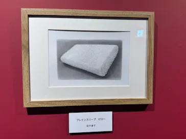 プレバト才能アリ展（横浜会場）に投稿された画像（2026/7/24）