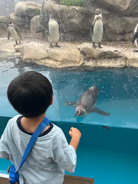 仙台うみの杜水族館に投稿された画像（2026/7/24）