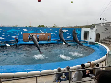 仙台うみの杜水族館に投稿された画像（2026/7/24）