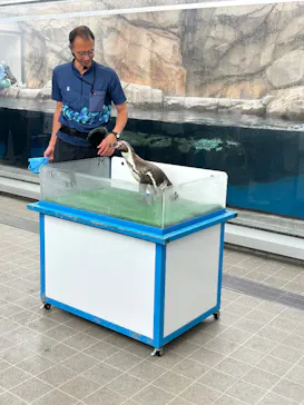 仙台うみの杜水族館に投稿された画像（2026/7/24）