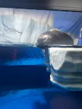 サンシャイン水族館に投稿された画像（2026/7/24）