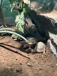 サンシャイン水族館に投稿された画像（2026/7/24）